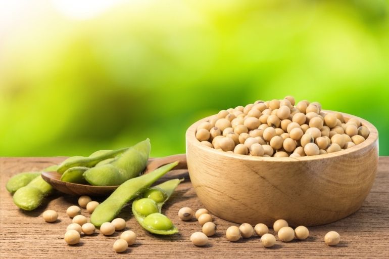 Why Soybeans Are One of the Best Anti-Cancer Foods You Can Eat