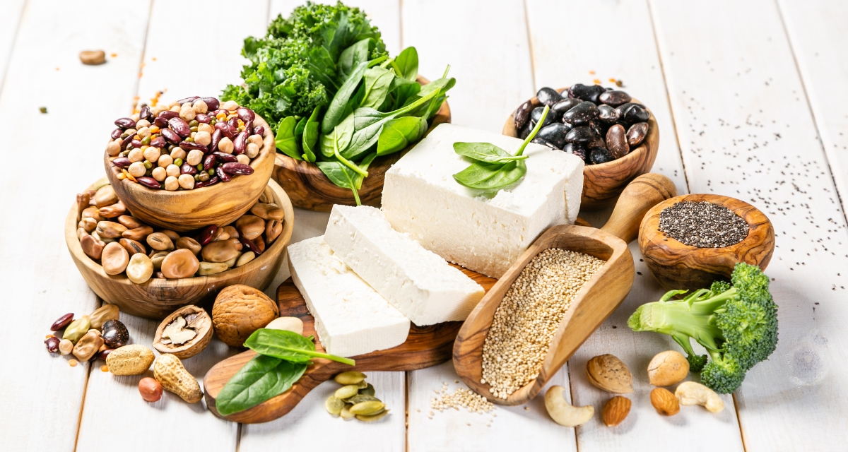 How Plant Protein Wins Over Animal Protein 