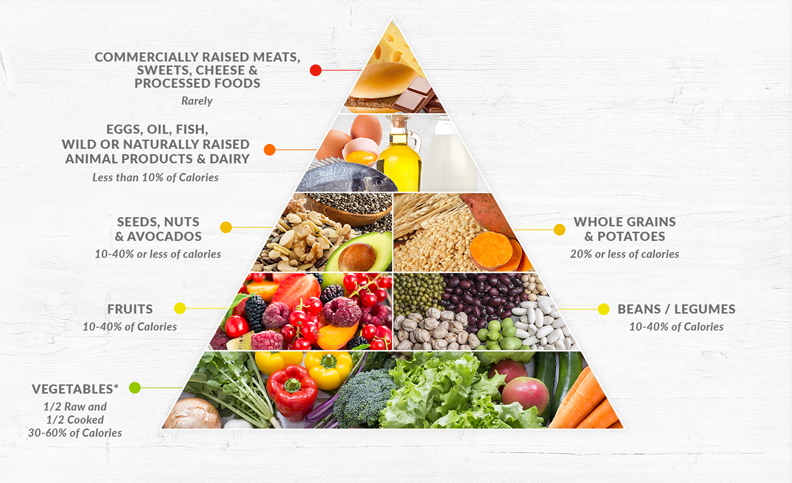 Triangle Food Chart