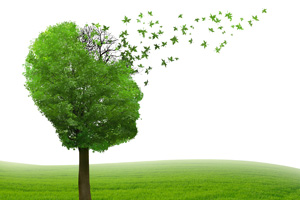 4 Strategies to Reduce Risk of Dementia 