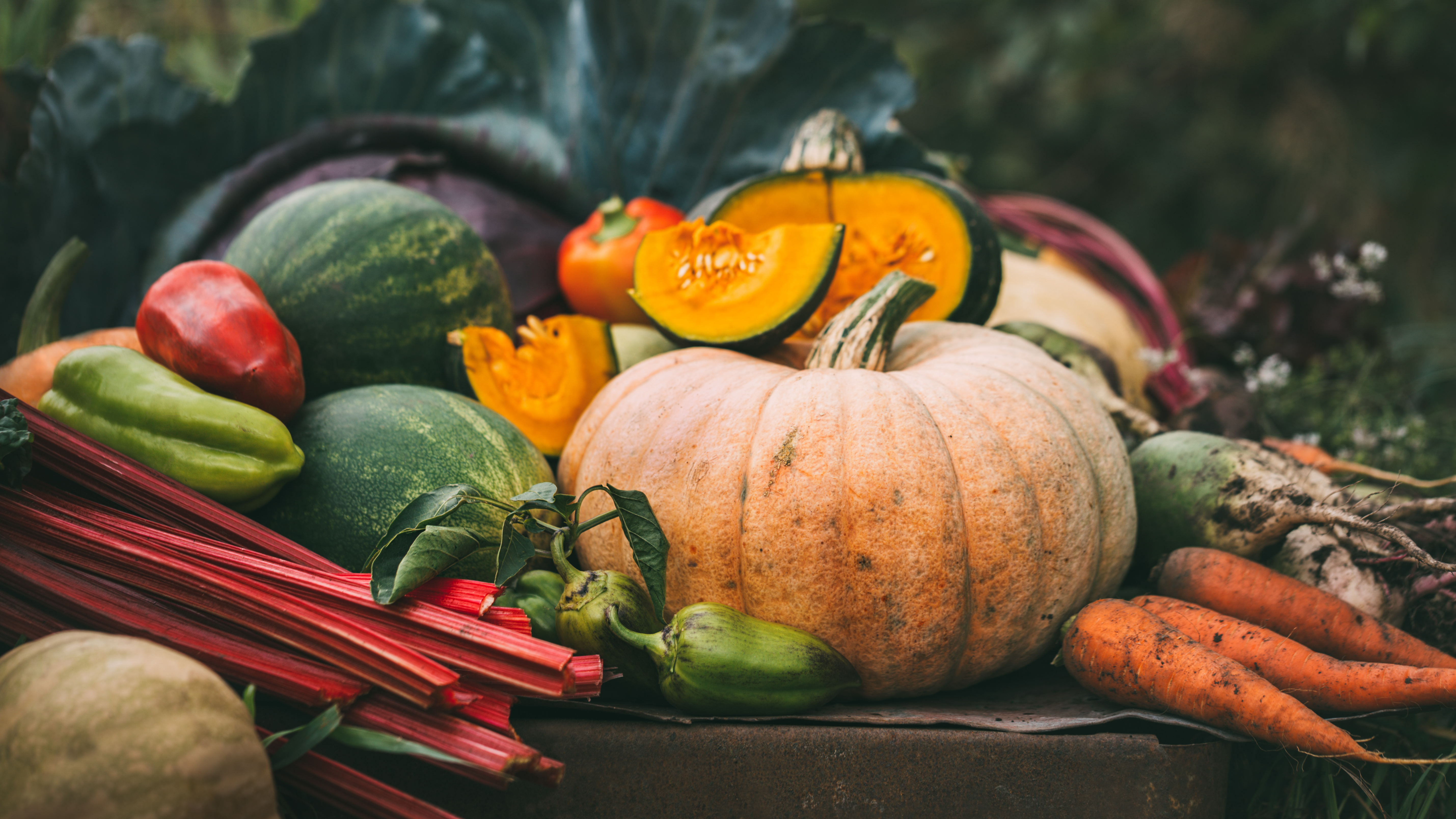 Fall vegetables are nutritional powerhouses